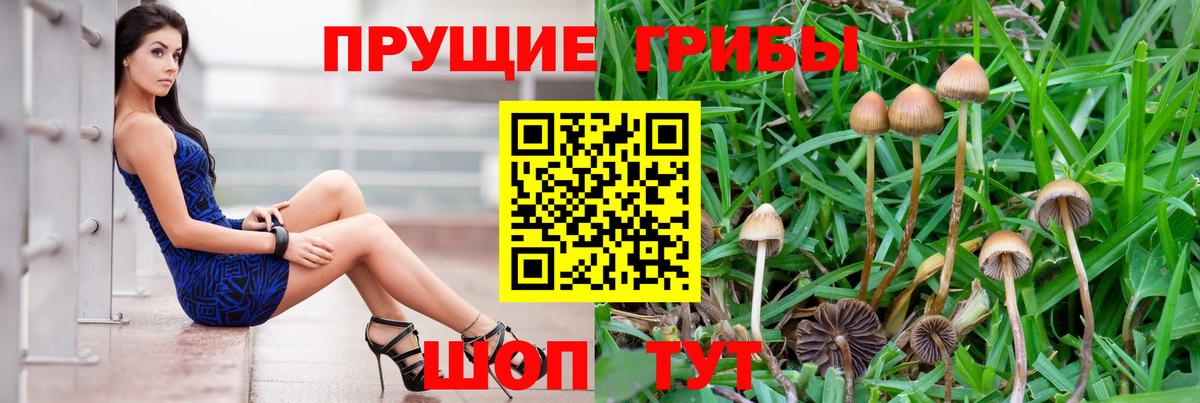 Псилоцибиновые грибы прущие грибы  Вход с VPN  Усинск  Галлюциногенные грибы Cubensis 
