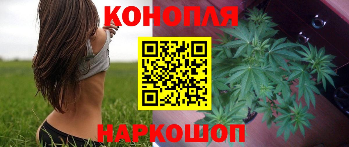 Марихуана сатива Усинск
